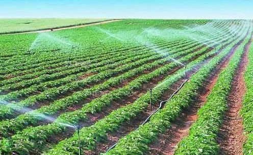 kancaobibi农田高 效节水灌溉
